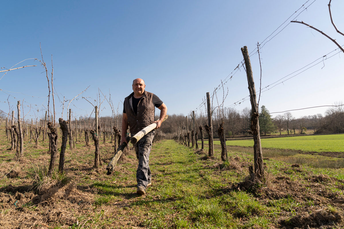 AZIENDA AGRICOLA BLAZIC